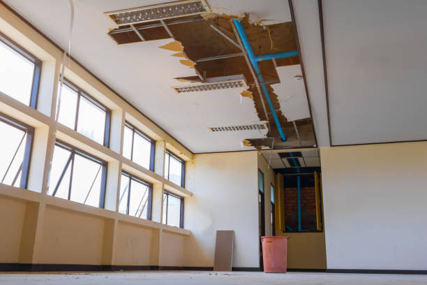 Best Fire Damage Restoration  in Calumet Park, IL