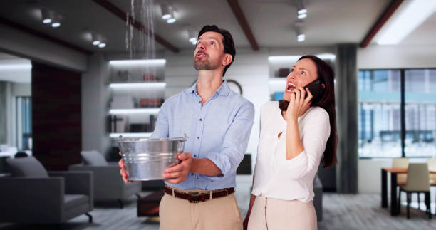Best Water damage restoration process  in Calumet Park, IL